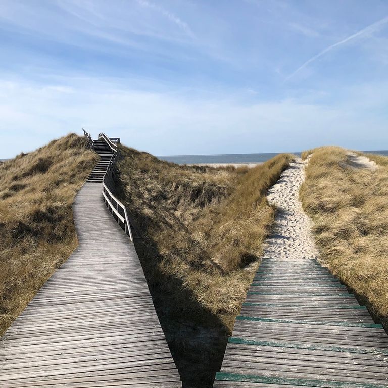 Ein sich in den Dünen gabelnder Weg. Entscheidung